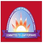 Birender Singh College of Nursing logo